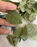 胖東來(lái)品質(zhì)甘肅隴南淫羊藿葉中藥材新貨正宗淫羊藿葉干貨三枝九葉 精選淫羊藿葉20克 曬單實(shí)拍圖