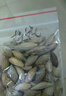 新采桂花種子桂花樹(shù)籽四季桂嫁接狀元紅朱砂桂金銀丹桂八月桂花苗盆景QCDD 桂花種子50粒 曬單實(shí)拍圖
