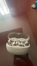 韶音（SHOKZ）OpenDots ONE動(dòng)鈦圈開放式藍(lán)牙耳機(jī)耳夾式無線耳機(jī)藍(lán)牙跑步運(yùn)動(dòng)耳機(jī)E310 星際白 曬單實(shí)拍圖