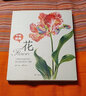 萬物我畫 花 曬單實拍圖