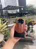 詔絢華為mate60pro手機(jī)殼新款油蠟皮Mate60真皮鏡頭全包mate60pro+高端防摔保護(hù)套 【貴氣棕】玄武金屬丨進(jìn)口油蠟皮 華為Mate60Pro 曬單實拍圖
