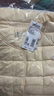 雪中飛經(jīng)典新款基礎舒適輕薄羽絨便捷短款保暖羽絨小馬甲輕盈便攜舒適 黎蔓卡其|7202-女 L 170/92A 曬單實(shí)拍圖