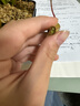 八目尚賞捕蠅草盆栽新奇趣味捕蟲(chóng)草食人花卉綠植食蟲(chóng)草新奇趣味捕蠅草 小豬籠草(簡(jiǎn)易盆發(fā)貨)  帶盆栽好 曬單實(shí)拍圖