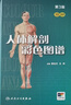 人體解剖彩色圖譜第三版 3版全彩人衛(wèi)奈特系統(tǒng)解剖學(xué)人體肌肉骨骼結(jié)構(gòu)書3d尸檢解刨學(xué)法醫(yī)學(xué)類書籍教材人民衛(wèi)生出版社 曬單實(shí)拍圖