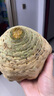 美鄰惠享家大根芹球新鮮地中海根芹球洋芹菜根老根芹菜根新鮮現挖 地中海大根芹5斤炒著(zhù)吃 曬單實(shí)拍圖