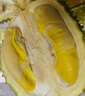 京東超市馬來(lái)西亞D197貓山王榴蓮3.5-4斤保4房新鮮冷凍水果 曬單實(shí)拍圖