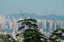 騰龍（Tamron）B070 17-70mm F/2.8 VC防抖大光圈微單鏡頭17-70風(fēng)光人像旅行半畫(huà)幅1770 索尼E卡口 官方標配【送騰龍UV濾鏡+64G存儲卡+清潔套裝】 曬單實(shí)拍圖