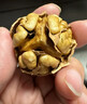 諸氏橙品【紙皮核桃】185紙皮核桃薄殼 2025新貨堅果獨立包裝年貨整箱禮盒 【精選2.5斤禮盒】約22小包 曬單實(shí)拍圖