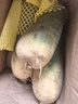 鳶語(yǔ)山東濰坊蘿卜凈重2.25kg 單果250克+ 青蘿卜濰縣蘿卜源頭直發(fā)包郵 曬單實(shí)拍圖
