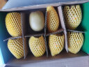 佳沛（zespri）新西兰阳光金奇异果 8个装 特大果单果重约124-146g 水果 猕猴桃 实拍图