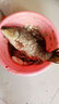 博菲特 魚竿手把纏繞帶龍骨 吸汗帶防滑帶 防電把套 加厚纏把帶魚竿手膠 黑色 曬單實(shí)拍圖