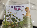 我家附近的野花（親近自然繪本 4冊） 首屆臺灣綠芽獎得主，臺灣人氣圖畫(huà)書(shū)作家陳麗雅作品！ 曬單實(shí)拍圖