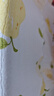 貝瑞加（Babyprints）新生兒連體衣2件裝初生男女寶寶純棉爬服薄款哈衣純棉內(nèi)衣 海梨52 曬單實(shí)拍圖