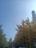 喜寶（HiPP）【官方授權(quán)】 德國(guó)本土HiPP喜寶益生菌有機(jī)嬰幼兒奶粉 有機(jī)12+（1歲以上）*4盒25年10月 曬單實(shí)拍圖