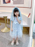 mlgt kids童裝女童愛莎公主裙2025夏季禮服女孩連衣裙兒童網(wǎng)紗裙子 藍色 連衣裙+網(wǎng)紗發(fā)箍 90 cm（建議80-90cm1-2周歲左右） 曬單實拍圖