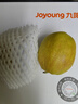 譯優(yōu)農【順豐現摘】新疆庫爾勒香梨 新鮮特級梨子脆甜香梨當季孕婦水果 特選9斤超大純母梨彩箱裝【單果150g以上】 新鮮 曬單實(shí)拍圖