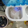 大黃鴨電器洗衣機半自動(dòng)雙桶雙缸家用小型迷你租房宿舍波輪脫水甩干雙杠省電老式強動(dòng)力易操作以舊換新 洗脫兩用丨抑菌除螨丨健康快洗丨節水省電 曬單實(shí)拍圖
