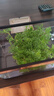 闊庭（KUOTING）魚(yú)缸桌面透明生態(tài)魚(yú)缸客廳水族箱黑色 曬單實(shí)拍圖