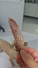 LEGENDSANDY藍氏狗狗零食鴨胸肉干磨牙訓練獎勵解饞中小型犬比熊柯基純肉100g 曬單實(shí)拍圖