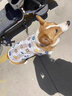 智宙狗狗衣服夏天金毛大型犬戶外夏季防曬衣薩摩耶防掉毛薄款防蟲(chóng)背心 白色小熊背心 彈力大 6XL(胸圍98CM 約110斤寵物) 曬單實(shí)拍圖