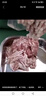 志高（CHIGO）絞肉機(jī)商用大功率多功能不銹鋼電動打肉機(jī)絞餡機(jī)肉絲機(jī)肉丸機(jī)灌腸機(jī)臺式碎肉機(jī)絞菜機(jī) 12型全鋼/急停/1100w 曬單實拍圖