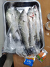 狼王魚線輪紡車輪漁輪海釣輪釣魚輪斯嘉蒂全金屬斜口線杯遠(yuǎn)投防海水輪 4000型 曬單實(shí)拍圖