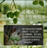 仙維娜橄欖嫩膚沐浴露750ml滋潤肌膚留香沐浴乳補水保濕沐浴液 曬單實(shí)拍圖