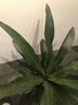 正品十核m60pro超薄1024GB智能手機雙卡全網(wǎng)通暢玩王者游戲5G 黑色【正品十核未拆封】 10GB+256GB【藍牙耳機】 曬單實(shí)拍圖