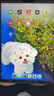 蘋(píng)果 Apple iPad Pro系列 11/10.5英寸16-22款二手平板電腦 95新22款pro-128g 11寸 wifi版本 曬單實(shí)拍圖
