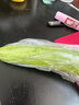 皓謙山東旱黃瓜新鮮水果5斤整箱脆嫩小黃瓜小青瓜孕婦蔬菜特產(chǎn) 5斤 曬單實(shí)拍圖