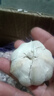 【限時(shí)特賣(mài)】山東紫皮大蒜頭整箱3/5新干蒜紫白皮新鮮大蒜頭批發(fā) 【優(yōu)質(zhì)大蒜】3斤大果 曬單實(shí)拍圖