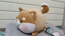 名創(chuàng  )優(yōu)品（MINISO）柴犬小豬抱枕靠枕毛絨公仔可愛(ài)玩具玩偶禮物送女朋友生日禮物 萌趣柴犬公仔 見(jiàn)詳情 曬單實(shí)拍圖