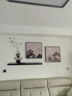 見(jiàn)造新款背有靠山客廳裝飾畫(huà)高檔墻壁畫(huà)現代簡(jiǎn)約高級感沙發(fā)背景墻掛畫(huà) 背有靠山-A款 95*35（uv精雕）/40*40/40*40cm 黑色鋁合金框 晶瓷工藝+UV精雕+仿真綠植 曬單實(shí)拍圖