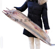 歐因 順豐特大2斤以上整條送禮大鰻魚(yú)干禮品裝咸魚(yú)鰻魚(yú)鲞半干海鮮干貨 2500克5斤透明直板特大極少 曬單實(shí)拍圖