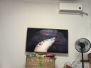 創(chuàng  )維電視黑騎士A5F Pro 65英寸612分區QD-Mini LED 極黑廣角類(lèi)紙屏 哈曼回音壁 國家補貼a5f+升級 曬單實(shí)拍圖