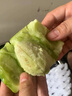 顏曼箐仙人掌果實(shí)新鮮水果現(xiàn)應(yīng)季仙桃大涼山瀘定梨果 5斤 甄選大果 2-3兩/個(gè) 曬單實(shí)拍圖