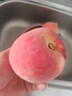 云南麗江雪桃大果5斤大理冬桃現摘新鮮脆甜水蜜桃毛桃應當季水果R 4.5斤【中果】 曬單實(shí)拍圖