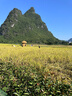 赫朗（HELANG）跳繩兒童計(jì)數(shù)智能竹節(jié)可調(diào)節(jié)小學(xué)幼兒園專用考試健身 櫻花粉/智能計(jì)數(shù)/長度可調(diào) 曬單實(shí)拍圖