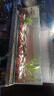 長(zhǎng)銳金晶超白玻璃魚(yú)缸烏龜缸裸缸生態(tài)溪流缸全套造景套餐 金晶超白魚(yú)缸 120x50x35cm【12mm】送魚(yú)缸墊+禮包 曬單實(shí)拍圖