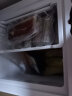 新飞（Frestec）冰柜家用小型冷藏冷冻转换柜两用冷柜 商用租房卧式大容量囤货保温柜 【一级能效】55升-节能款 55L 实拍图