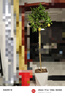 愛(ài)優(yōu)尚香水檸檬樹(shù)盆栽室內客廳陽(yáng)臺大型植物吸甲醛四季好養果樹(shù)源頭直發(fā) 曬單實(shí)拍圖