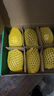佳沛（zespri）新西蘭  陽(yáng)光金奇異果6粒裝 單果約77-103g  源頭直發(fā)  獼猴桃 曬單實(shí)拍圖