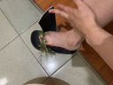 寶人（Boree）拖鞋女夏季新款時尚外穿涼拖情侶防滑笑臉一字拖男 黑白 36 曬單實拍圖