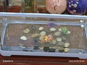 闊庭（KUOTING） 魚(yú)缸懶人魚(yú)缸家用客廳辦公室金魚(yú)缸過(guò)濾魚(yú)缸藍色款 曬單實(shí)拍圖