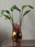 蒙牛一米八八【NBA聯(lián)名】?jì)和砷L(cháng)奶粉CBP賴(lài)氨酸高鈣3-15歲300g*6袋 曬單實(shí)拍圖