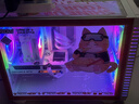 七彩虹橘貓定制主機酷睿i5 13400F RTX5060Ti顯卡臺式機電腦4060Ti吃雞游戲AI直播設計DIY組裝整機 配三丨i5 13400F丨RTX5060 8G 丨32GB內存丨512GB M 曬單實(shí)拍圖