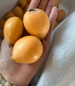 儲褚云南蒙自枇杷 孕婦新鮮枇杷果 大五星枇杷 當季水果順豐包郵 精選中果3斤【單果15-20g順豐】 曬單實(shí)拍圖