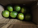 塔西提無(wú)籽青檸檬皮薄肉厚多汁泰國引種香水青檸新鮮水果獨立包裝 【單果80+】帶箱2斤 曬單實(shí)拍圖