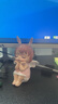 小妮秋可愛卡通安妮寶貝桌面小擺件生日七夕情人節(jié)禮物送女孩送女友閨蜜 寶貝粉色 曬單實拍圖