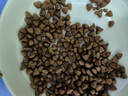 皇家成貓腸道處方糧GI32貓腸道全價(jià)配方糧呵護(hù)貓腸道敏感修護(hù)腸胃貓糧 皇家成貓腸道處方糧3.5kg 曬單實(shí)拍圖
